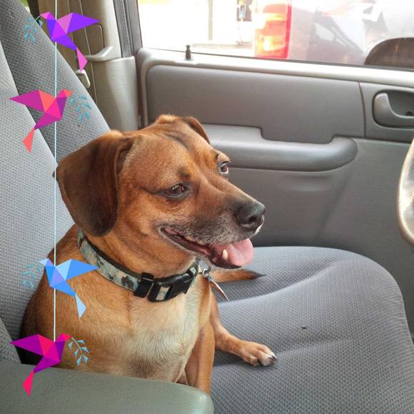 Meet your Posher, Tina - Picture 1 of 1